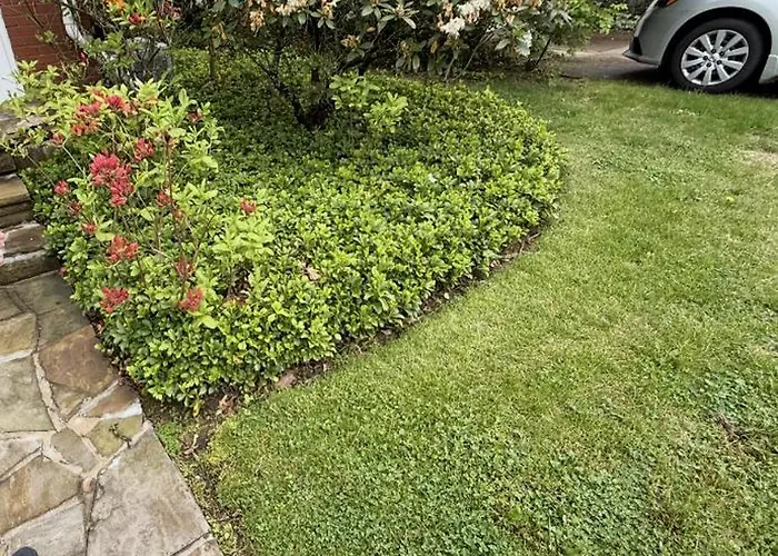 Beautiful Three Bedroom Two Bathroom One Car Garage Spacious Stylish House Villa *